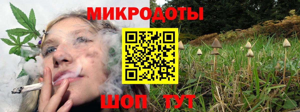 Сибай  купить закладку  Вход с VPN  Галлюциногенные грибы Psilocybine cubensis 