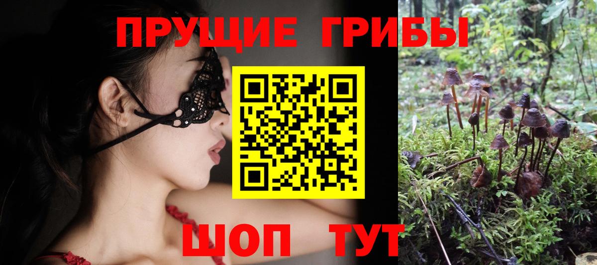 Галлюциногенные грибы мицелий Сибай